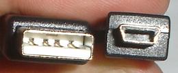 fotominiusbusb.JPG (6873 bytes)