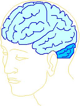 cer01.jpg (18919 bytes)