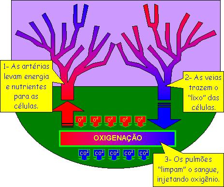 cer05.jpg (45580 bytes)