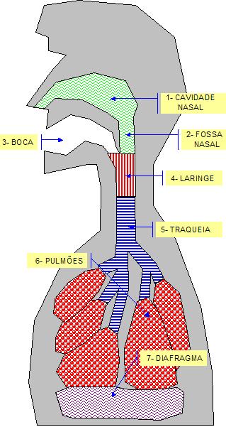 aparelho.JPG (46873 bytes)