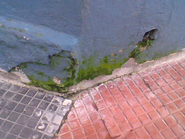 Imag018.jpg (94080 bytes)