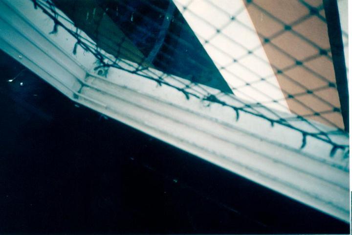 caso6d.jpg (35938 bytes)