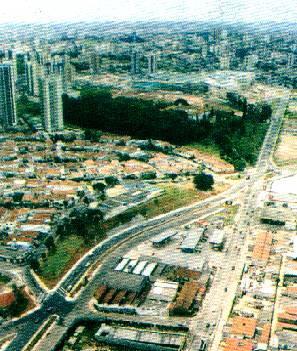 t202091.jpg (36784 bytes)