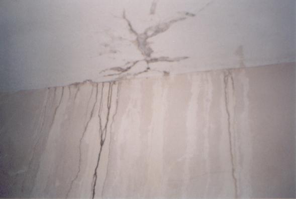 foto13.jpg (15190 bytes)