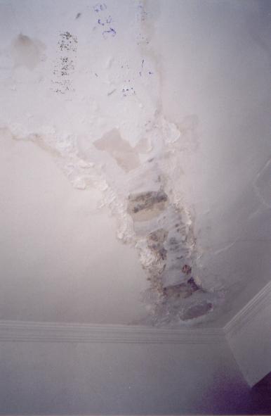 foto20.jpg (16683 bytes)