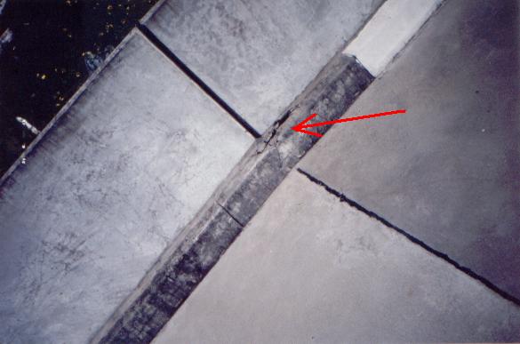 foto33.jpg (30759 bytes)