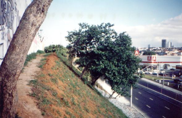 foto39.jpg (44674 bytes)