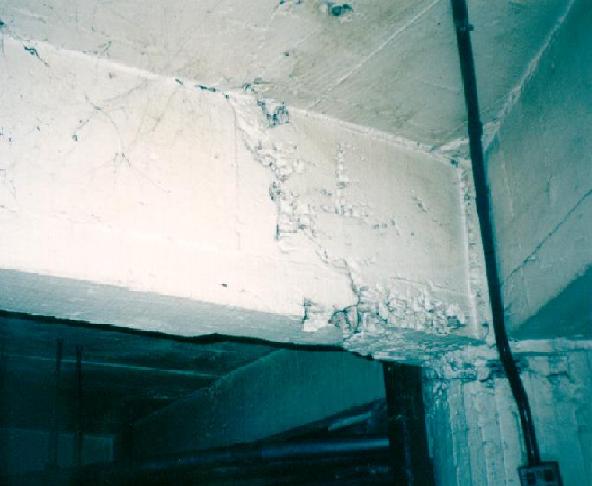 foto42.jpg (34288 bytes)