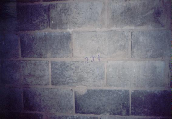 foto50.jpg (28886 bytes)