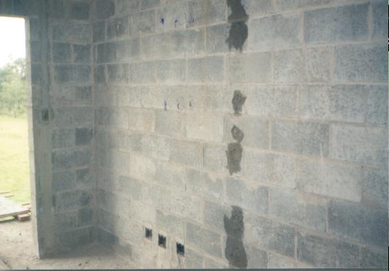 foto51.jpg (26451 bytes)