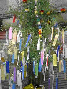 TanabataFoto1.jpg (24141 bytes)