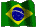 Bandeira_brasil03.gif (4208 bytes)