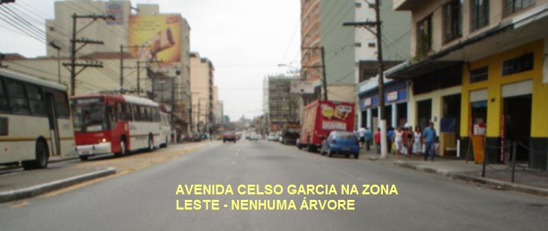 chuva15.JPG (34890 bytes)