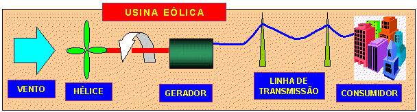 enerusinae.jpg (297366 bytes)