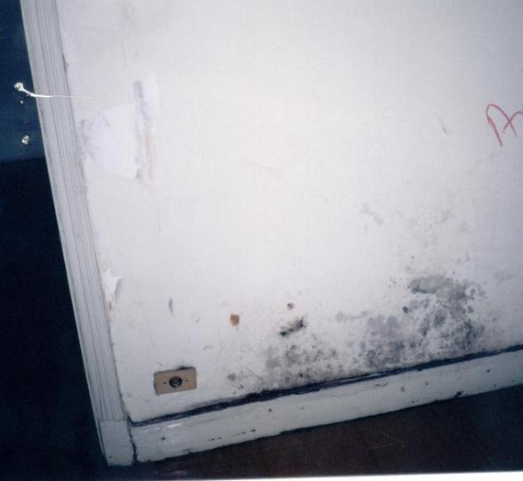 fotoparede.jpg (25876 bytes)