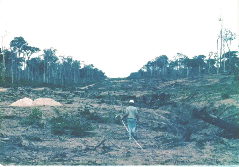 rhb05a.JPG (87423 bytes)