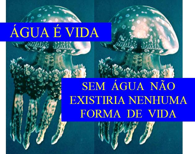 rhb07a.JPG (68782 bytes)