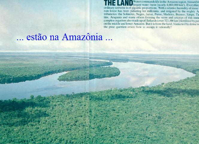 rhb10b.JPG (68007 bytes)