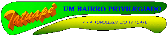 tat14.gif (204302 bytes)