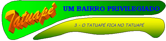 tat8.gif (240318 bytes)